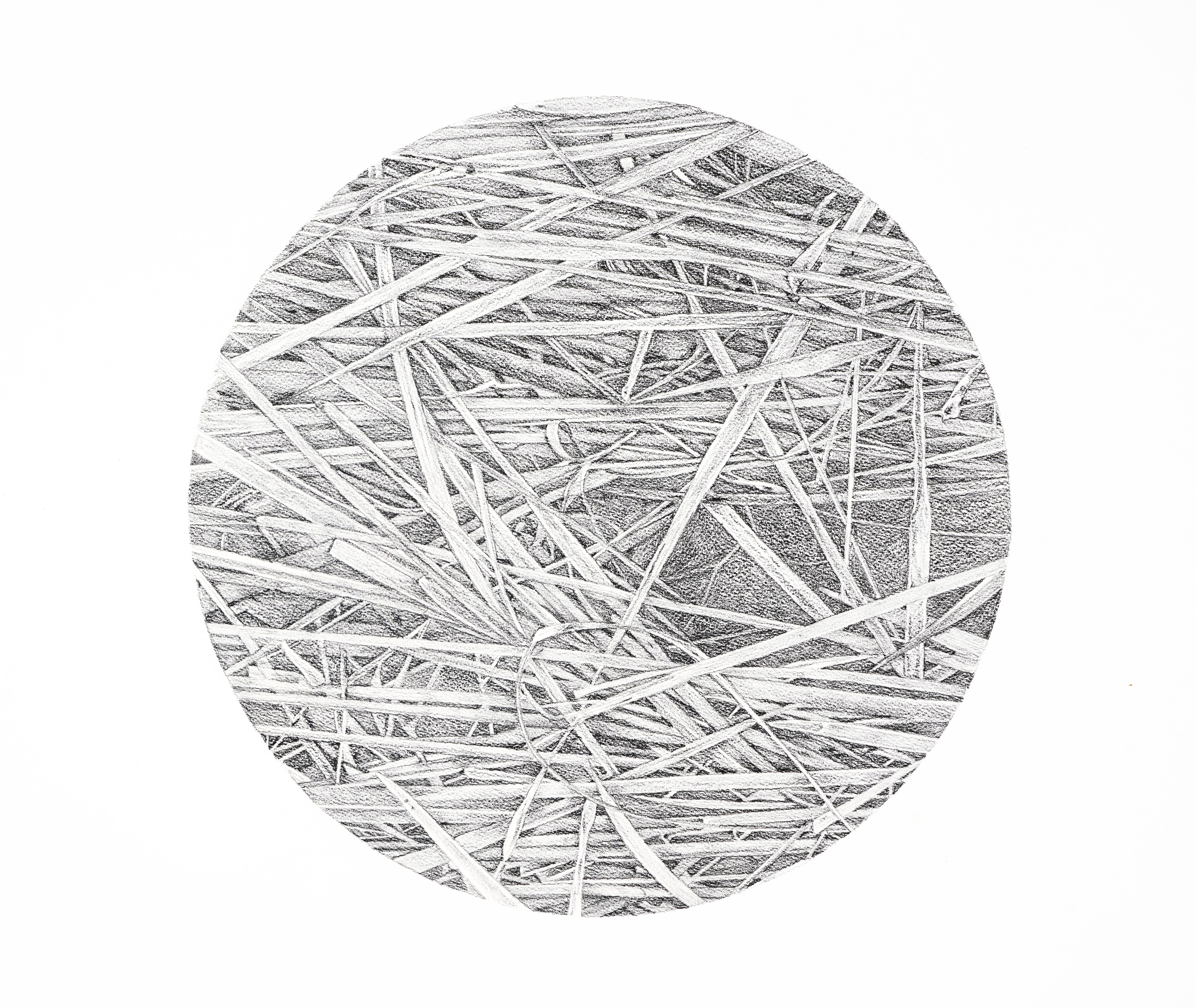 Rice Series -32 (set of 3)